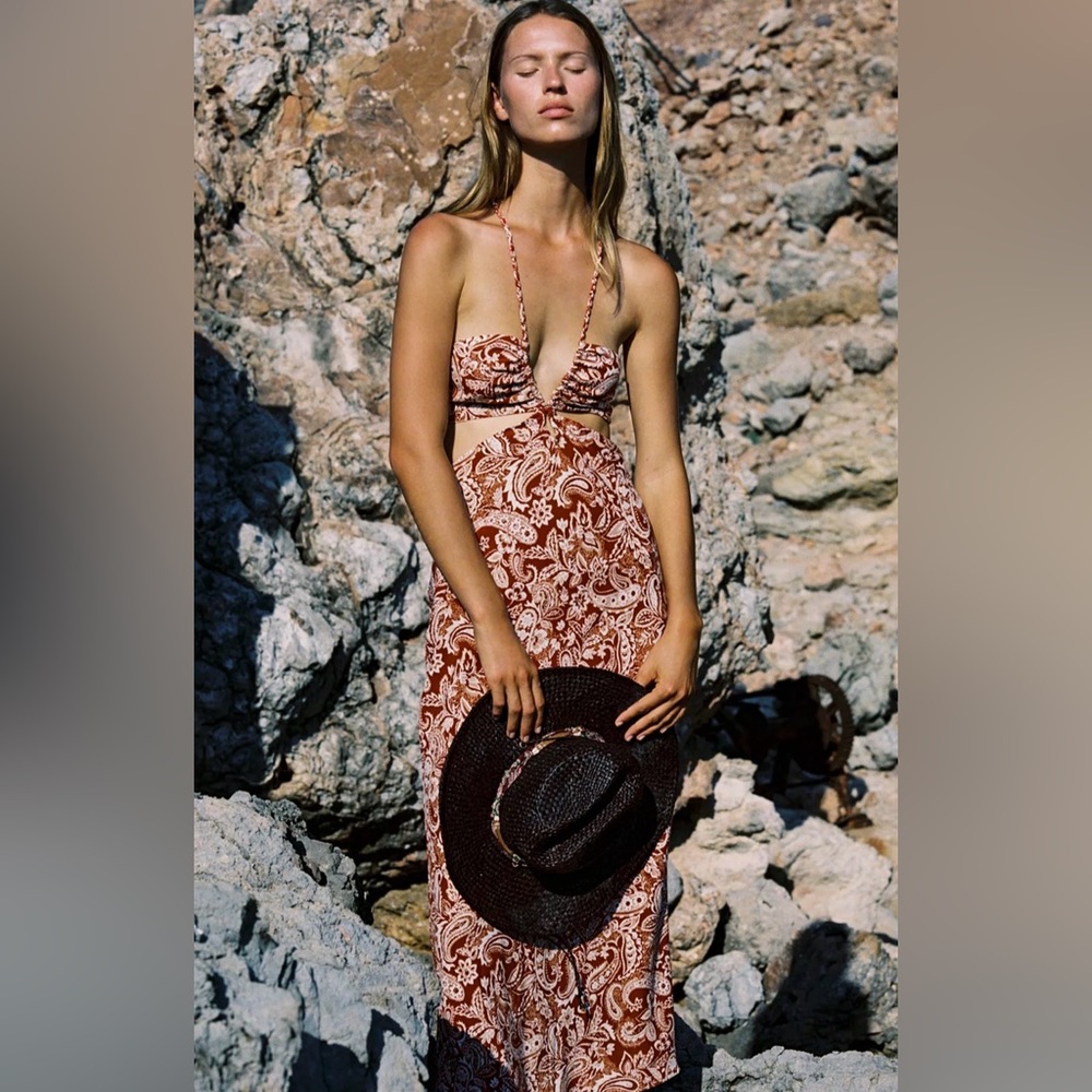 Zara Brown Paisley Maxi Dress